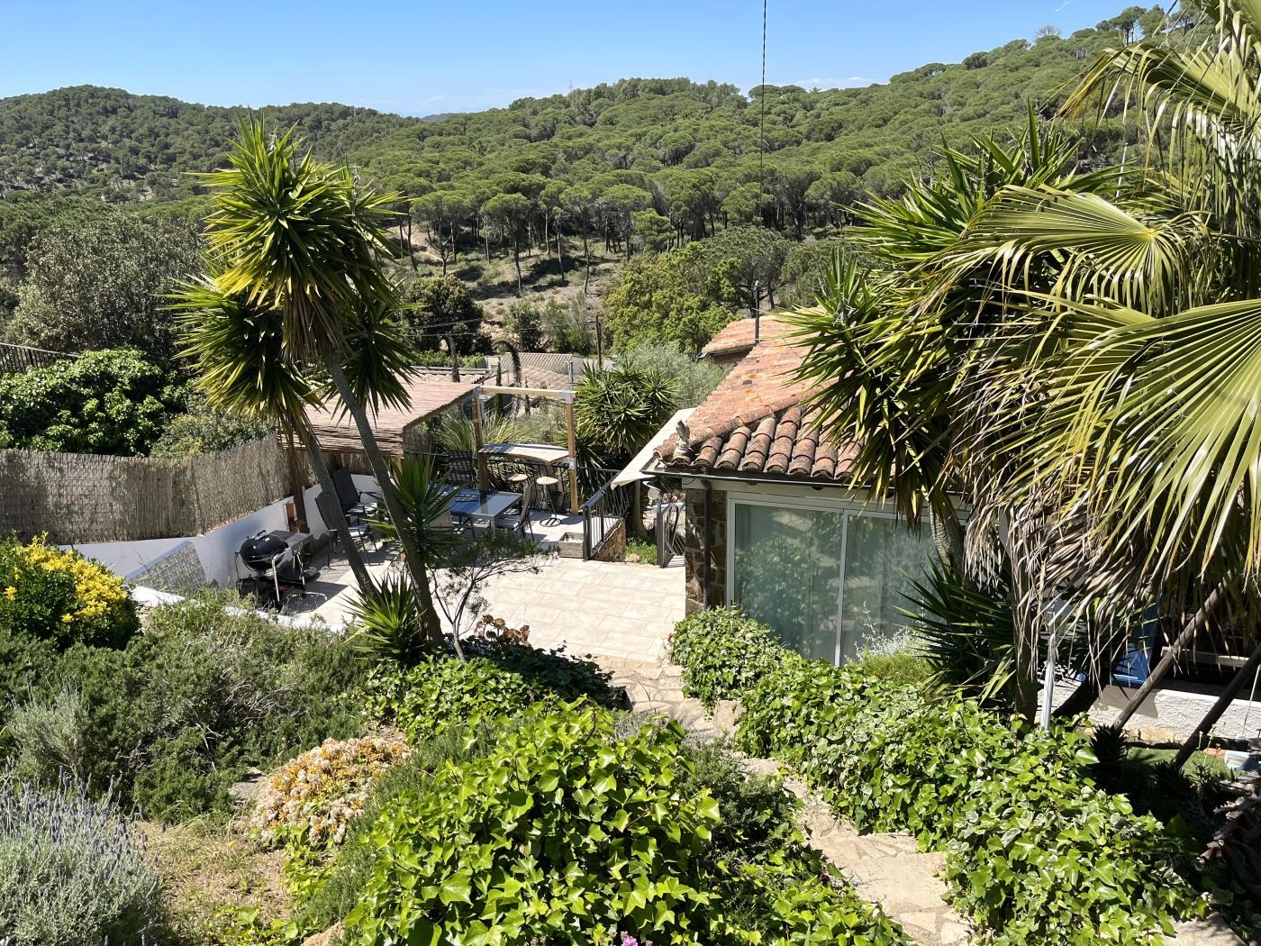 image Casa Es Pins (Begur, Resindencial Begur, Costa Brava) 3