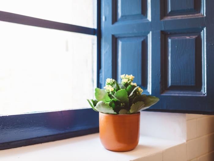 image Casa Celler (Begur, Centro Begur, Costa Brava) 6