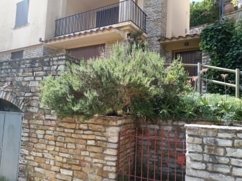 image Appartement Mas Mató 1 0