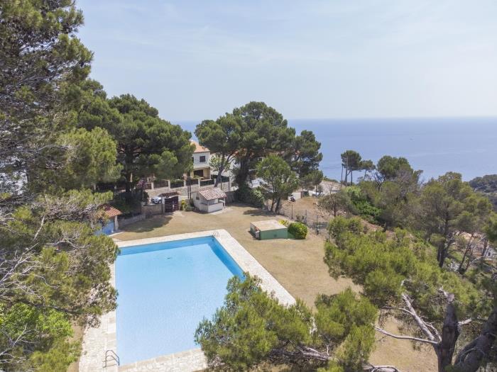 image Casa Blue Pine 12