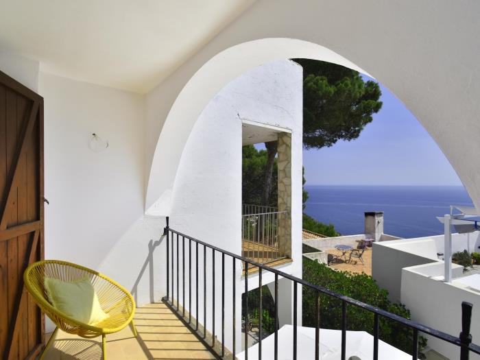 image Casa Blue Pine 13