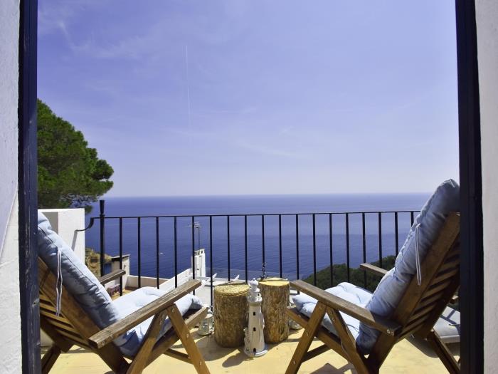 image Casa Blue Pine 2