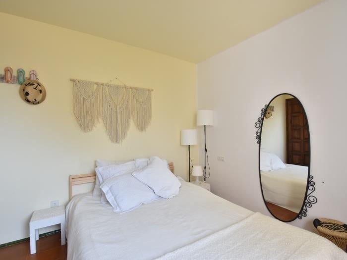 image Casa Blue Pine 37