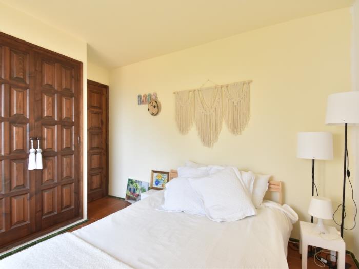 image Casa Blue Pine 38