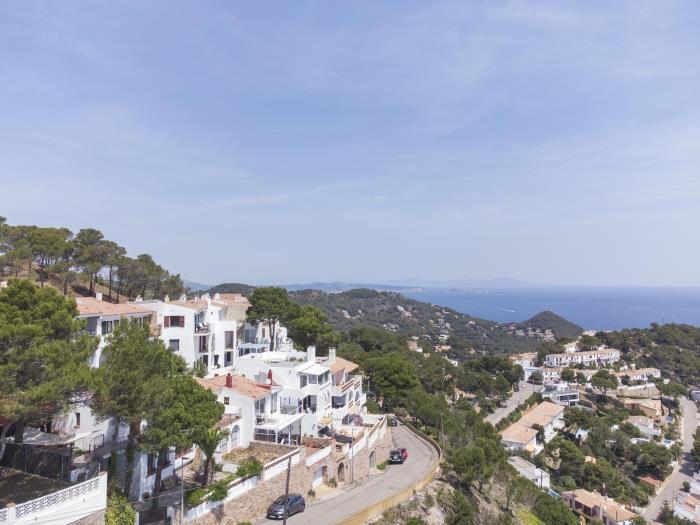 image Casa Blue Pine 44