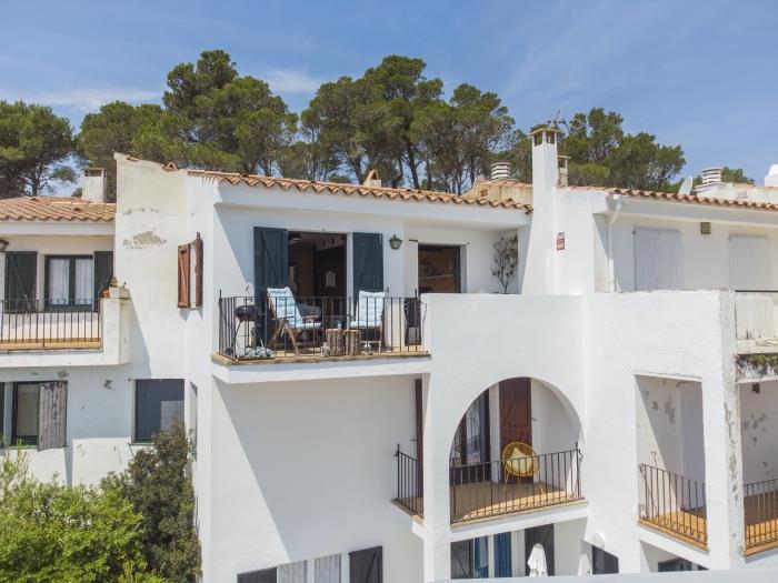 image Casa Blue Pine 4