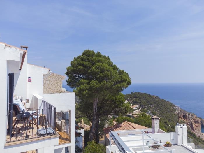 image Casa Blue Pine 5