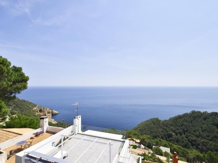 image Casa Blue Pine 6