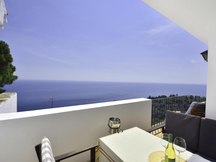 image Casa Blue Pine 9