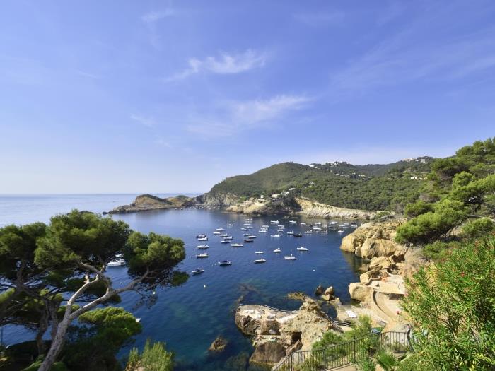 Coastline of Cap Sa Sal Begur Costa Brava