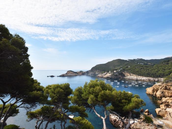 image Apartment Cap Sa Sal 267 25