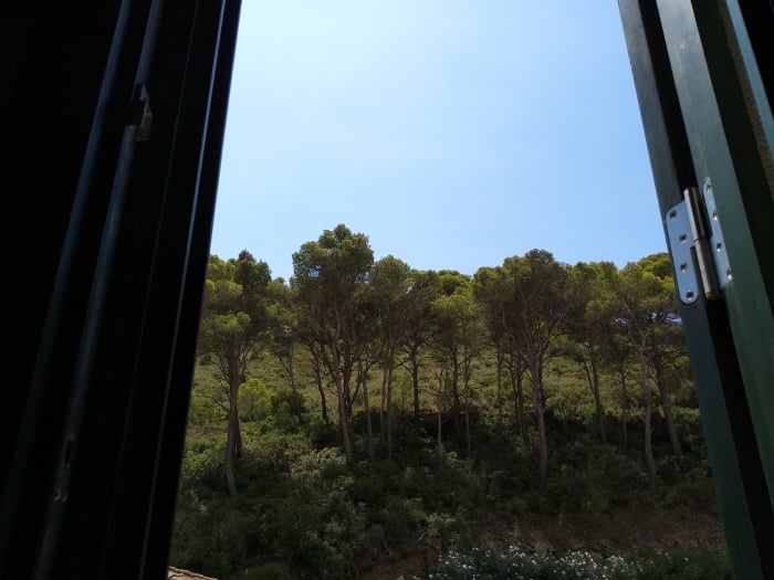 image Apartament Felip 15