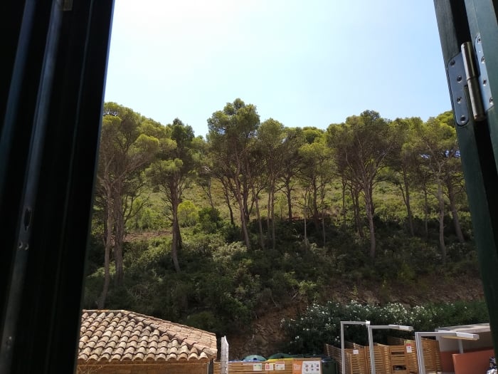 image Apartament Felip 16