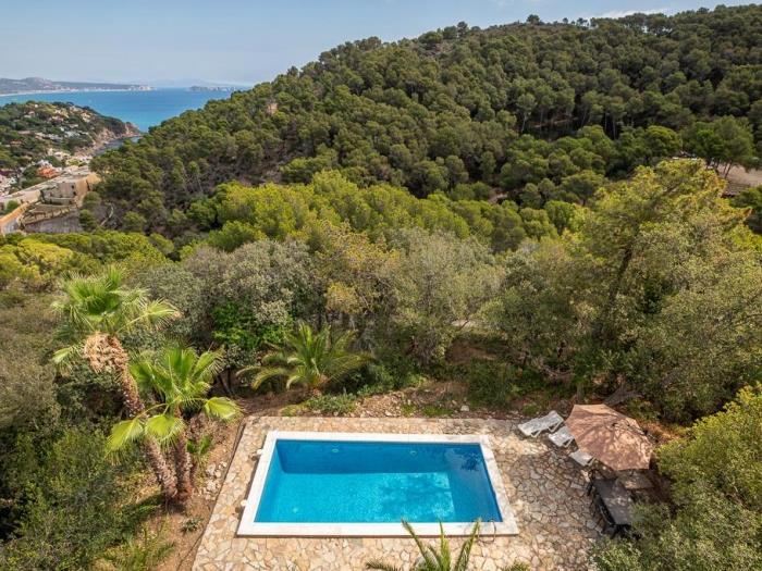 image Casa Costariu 15