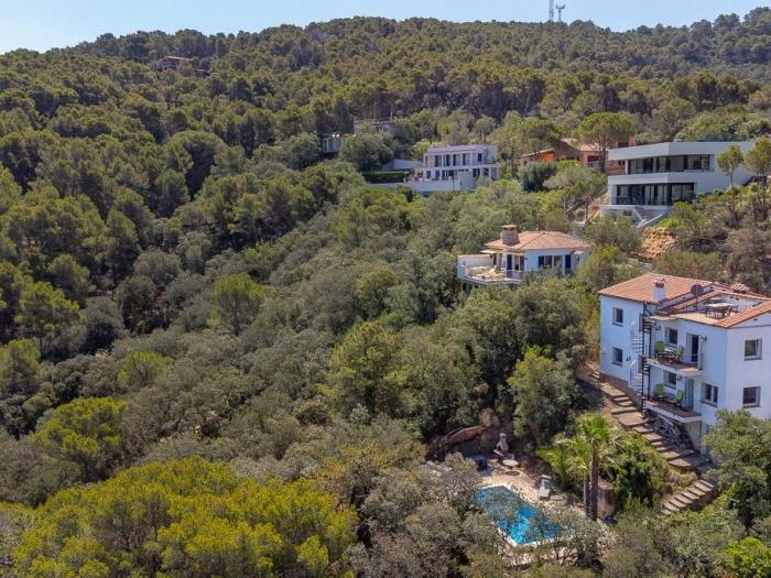 image Casa Costariu 16