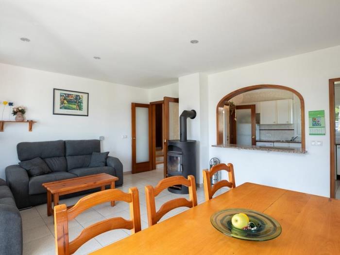 image Casa Costariu 6