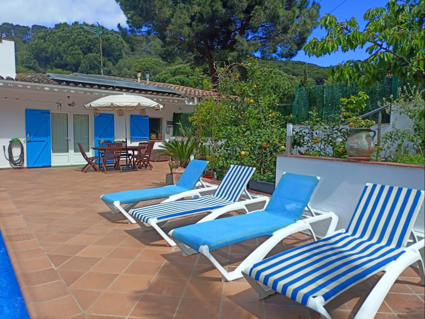 image Casa Flores (Begur, Residencial Begur, Costa Brava) 3