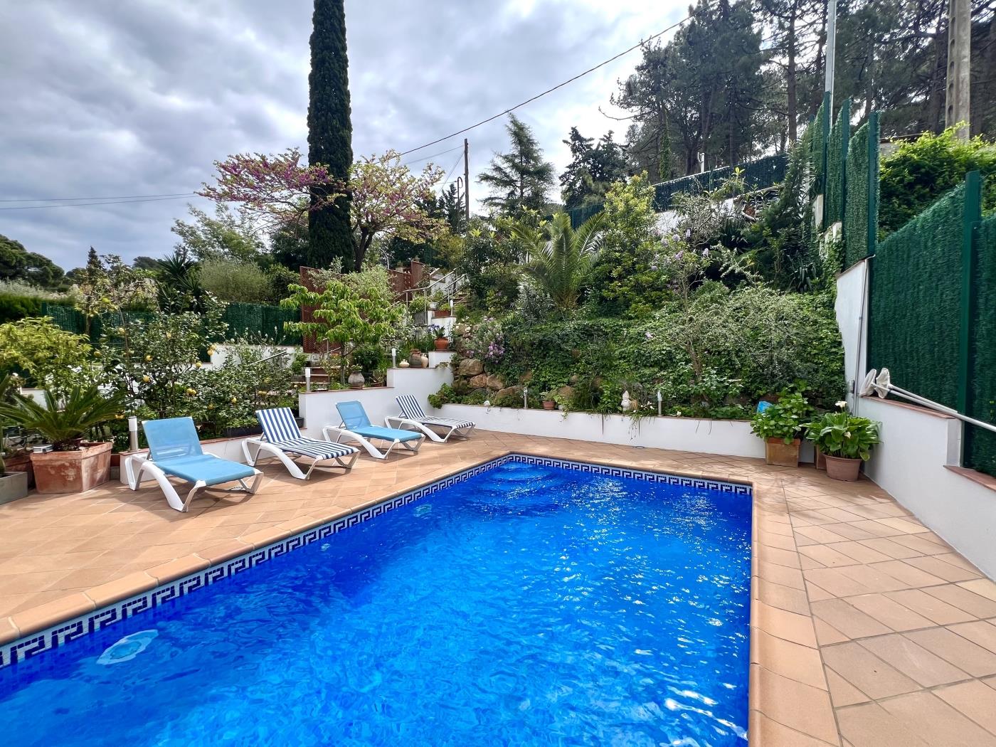 image Casa Flores (Begur, Residencial Begur, Costa Brava) 41