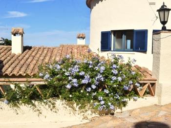 Piscina vistes mar Begur