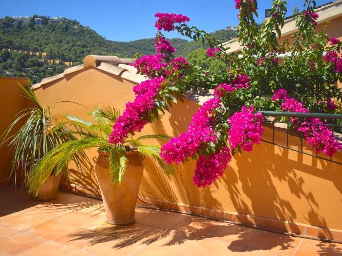 image Casa Santani (Begur, Sa Tuna) 4