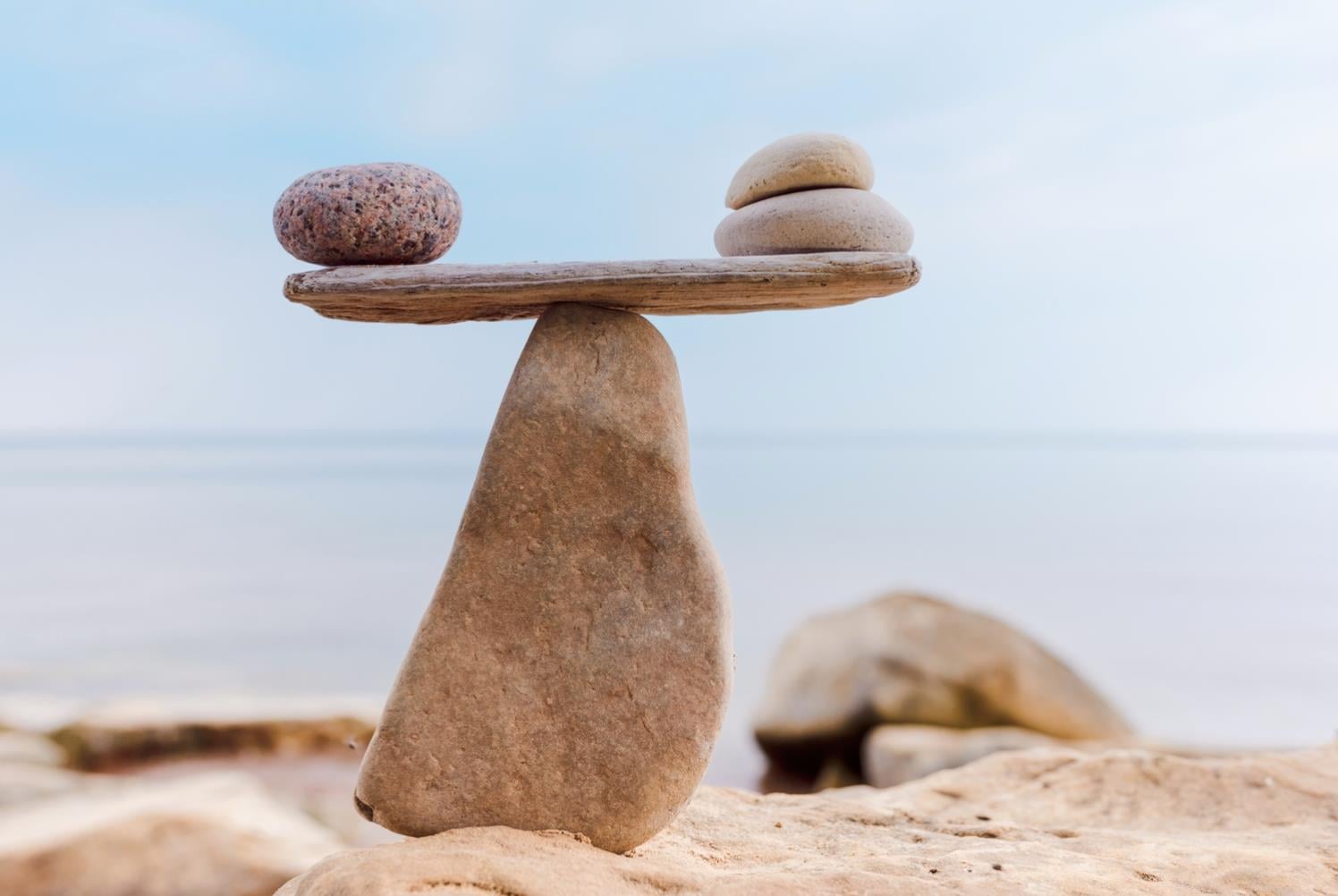 WELLNESS EXPERIENCE